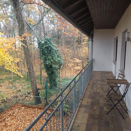 Hotel Hopener Wald ,Self Check In Lohne  Luaran gambar